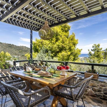Villa Politimi Luxury Retreat 斯科派洛斯 外观 照片