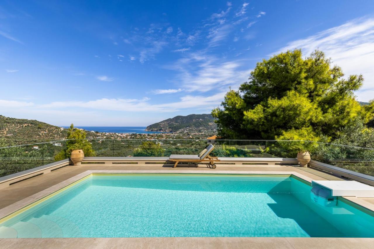 Villa Politimi Luxury Retreat 斯科派洛斯 外观 照片