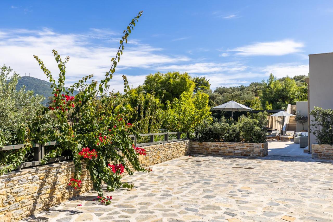 Villa Politimi Luxury Retreat 斯科派洛斯 外观 照片