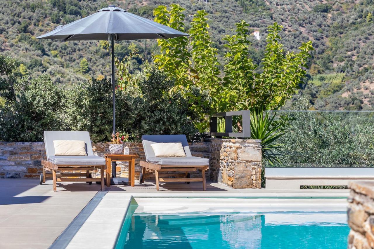 Villa Politimi Luxury Retreat 斯科派洛斯 外观 照片