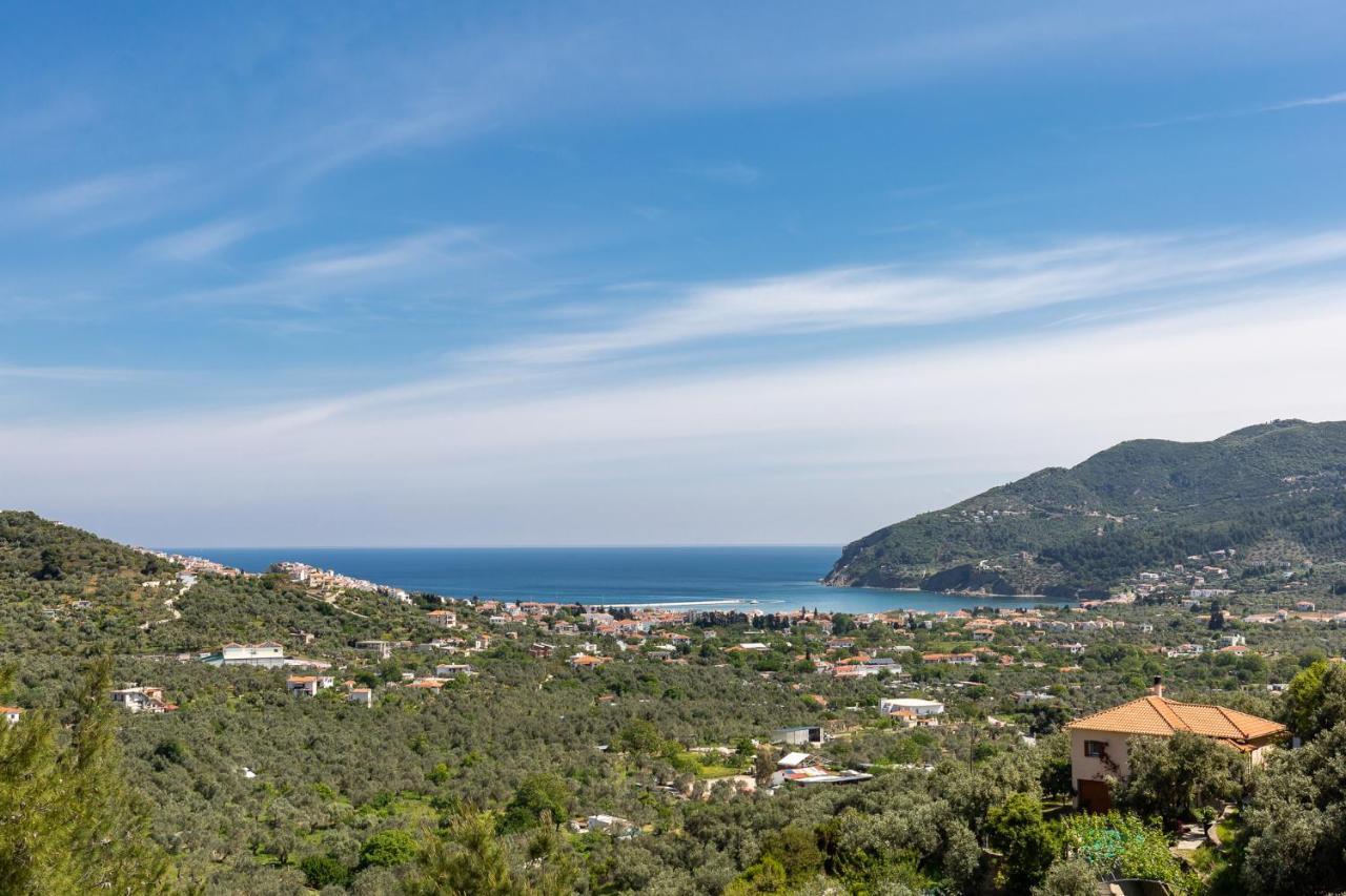 Villa Politimi Luxury Retreat 斯科派洛斯 外观 照片